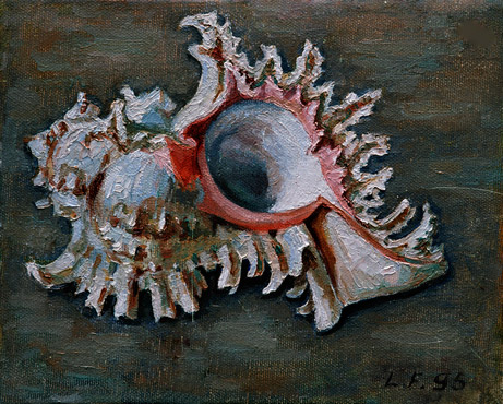 Muschel am Strand 02